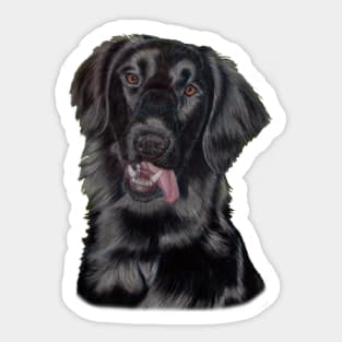 Flatcoated retriever - Pastel Sticker